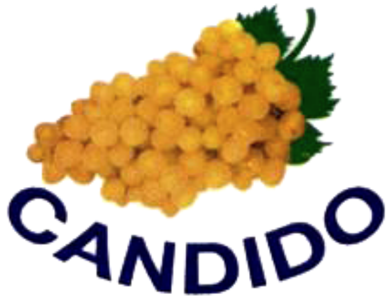 UVAS S.A.T. CANDIDO SIN PEPITAS